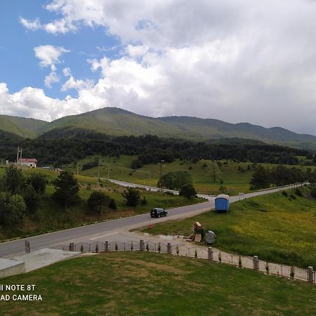 Вили Елеганс Сърница Oda fotoğraf